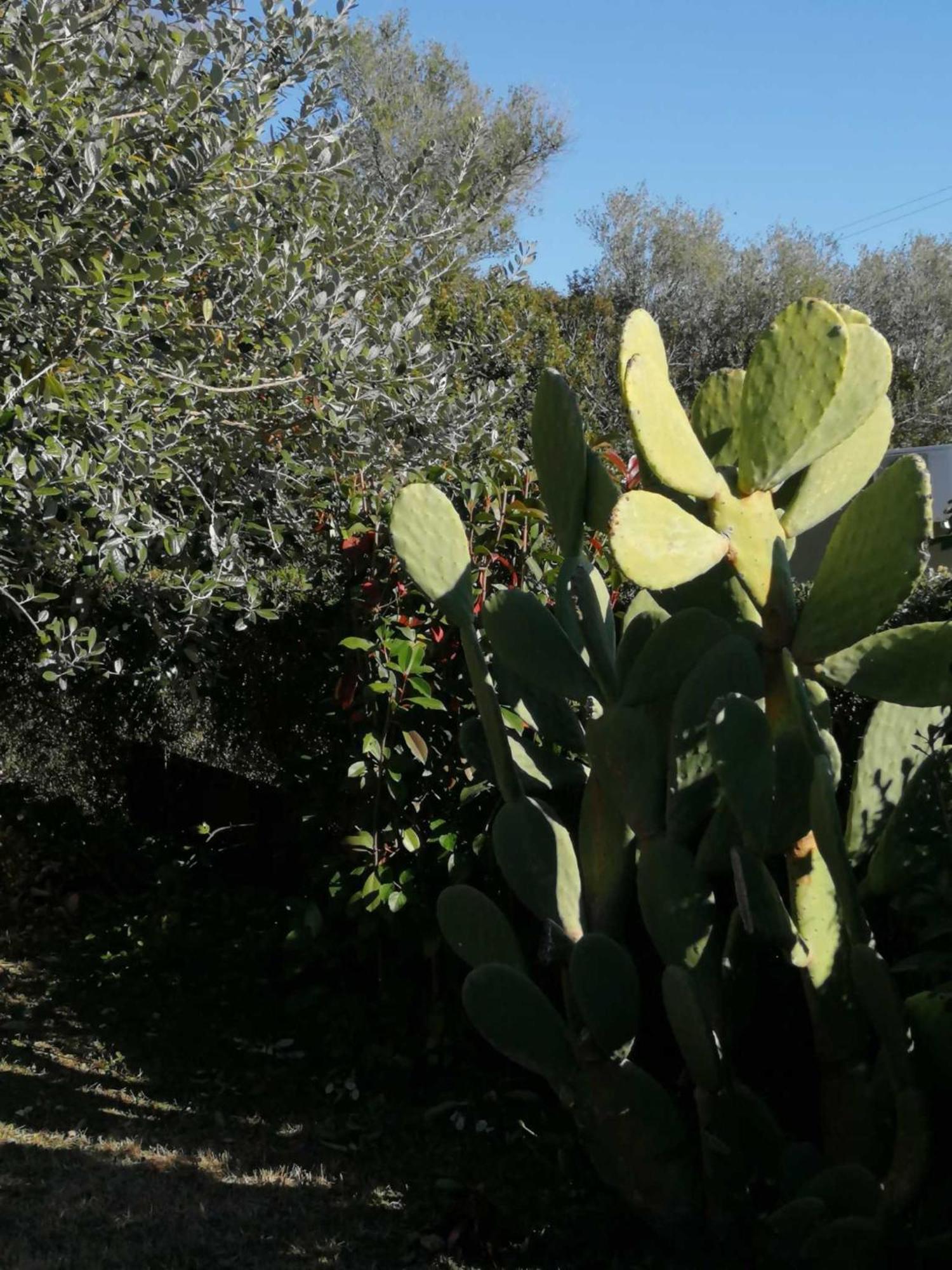 Sa Domu De Orri Al Mare Villa Tortolì Екстериор снимка